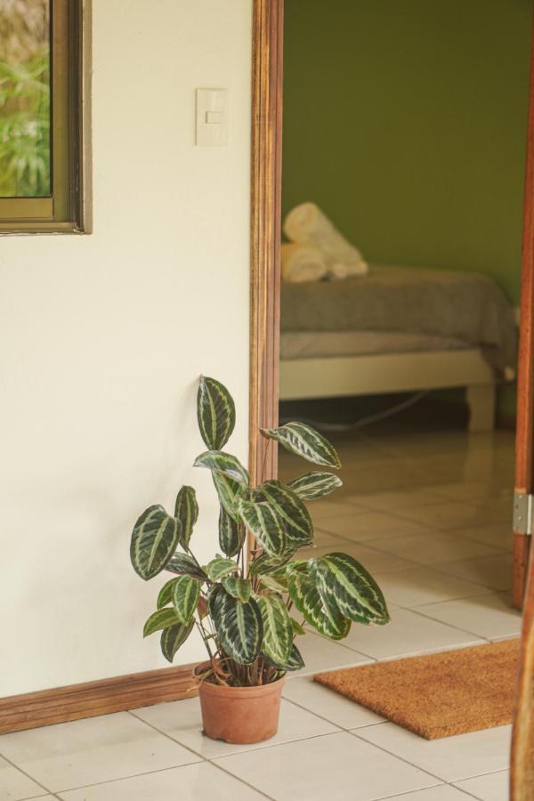 Gala Apts Playa Santa Teresa  Zewnętrze zdjęcie